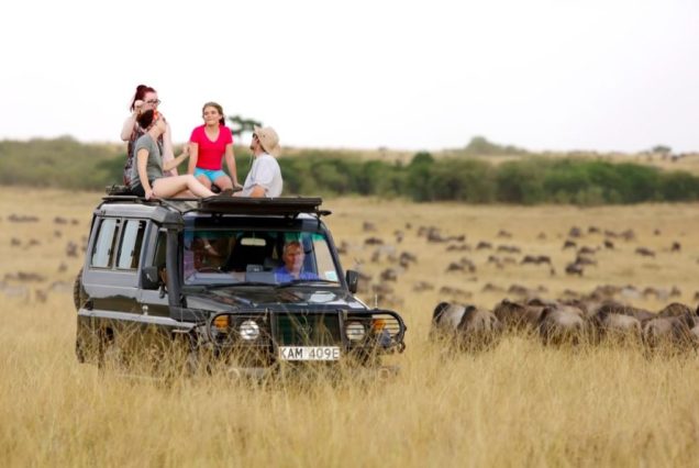 4 Days Maasai Mara and Lake Nakuru Group Joining Safari in Land Cruiser