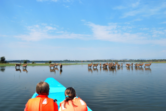 5 Days Group Safari to Masai Mara, Lake Nakuru, Lake Naivasha and Hell's Gate