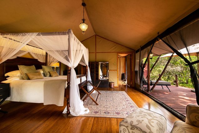 4 Days Elewana Sand River Camp Luxury Flying Safari from Nairobi