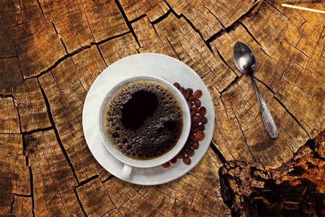 Kenya coffee farm