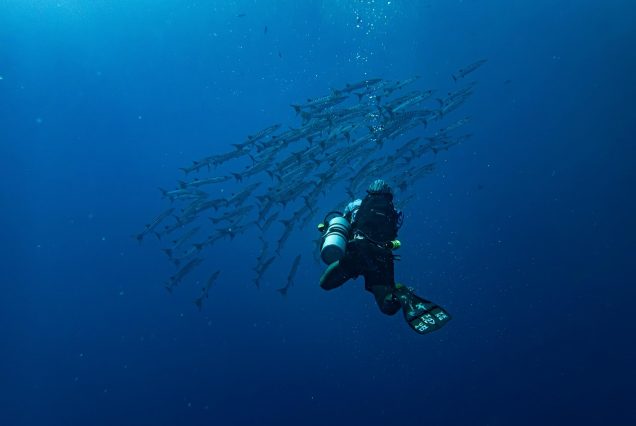 Watamu Kenya coast snorkeling