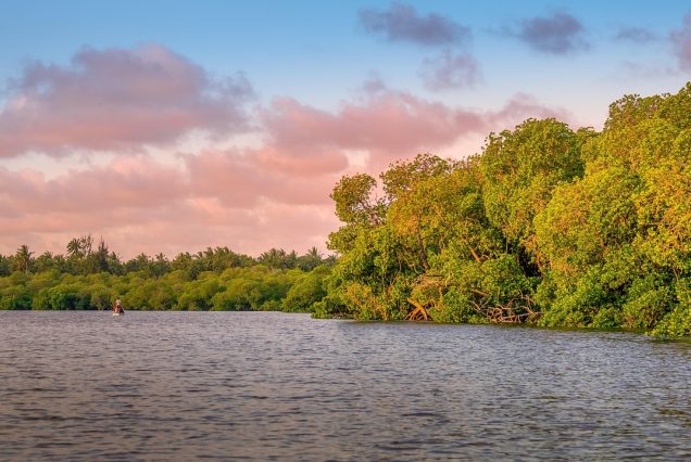 Watamu Kenya coast snorkeling